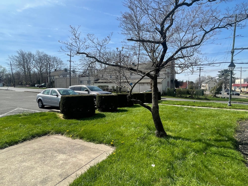 Commercial Landscape and Hardscape project in warrington, pa
