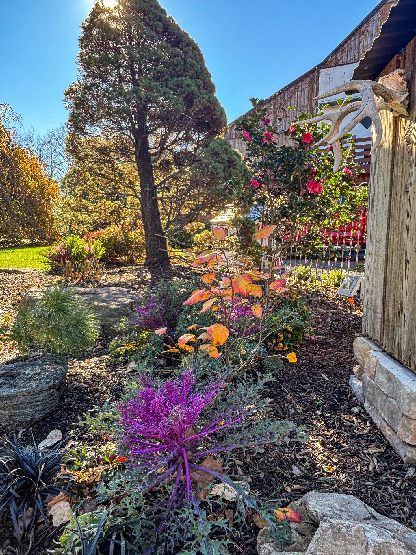 Flowers and planting beside the existing stone walkway