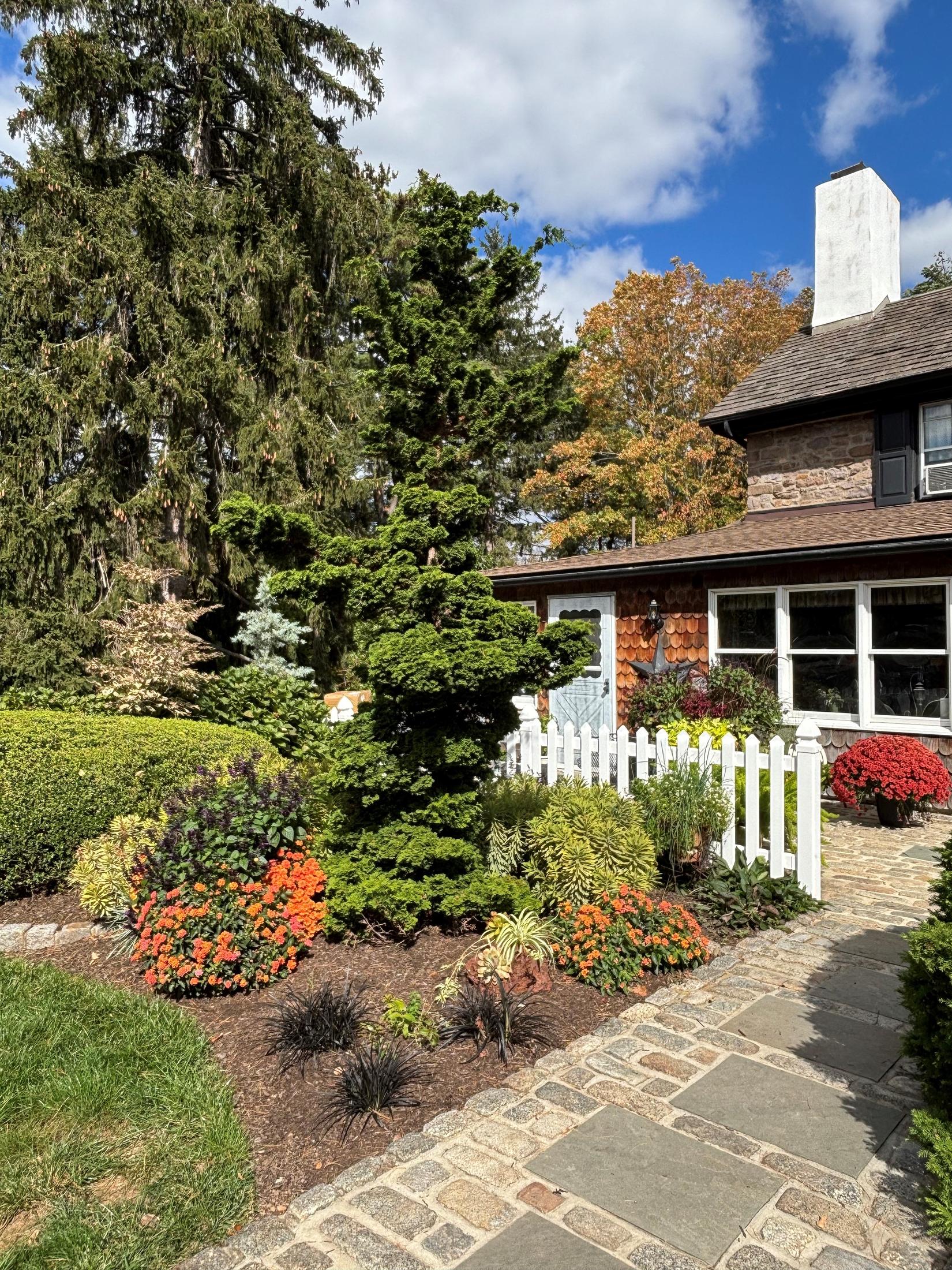 Garden beds beside the house and walkway
