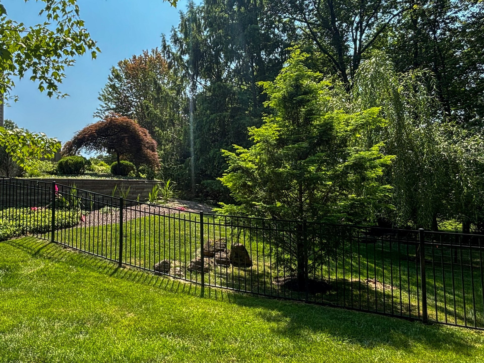 Vegetated area beside the estate fence