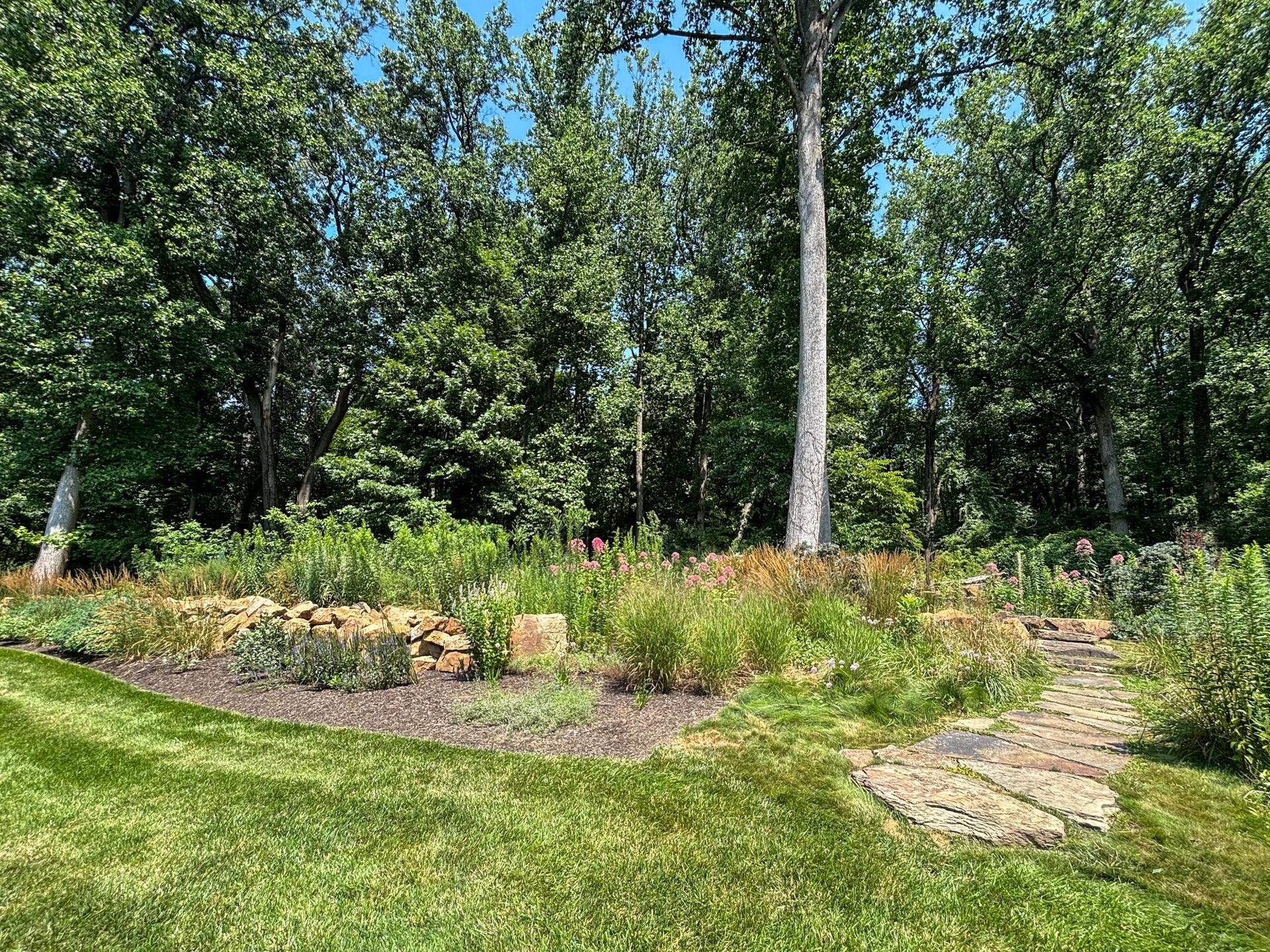 Rebuilt stone wall and naturalized planting at the woodland edge