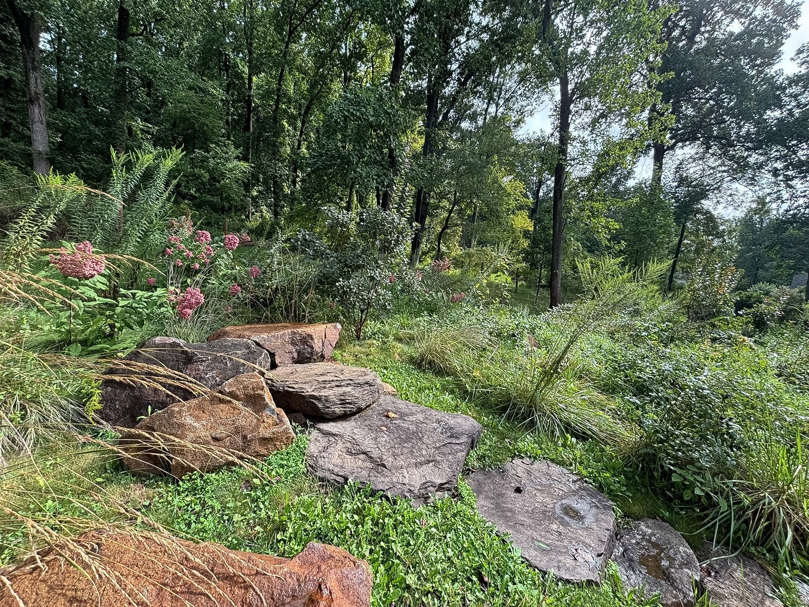 Irregular flagstone path through grasses and meadow planting