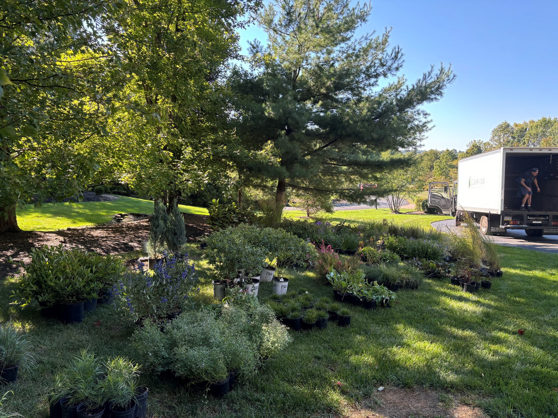 Plants staged beside the lawn during the estate project