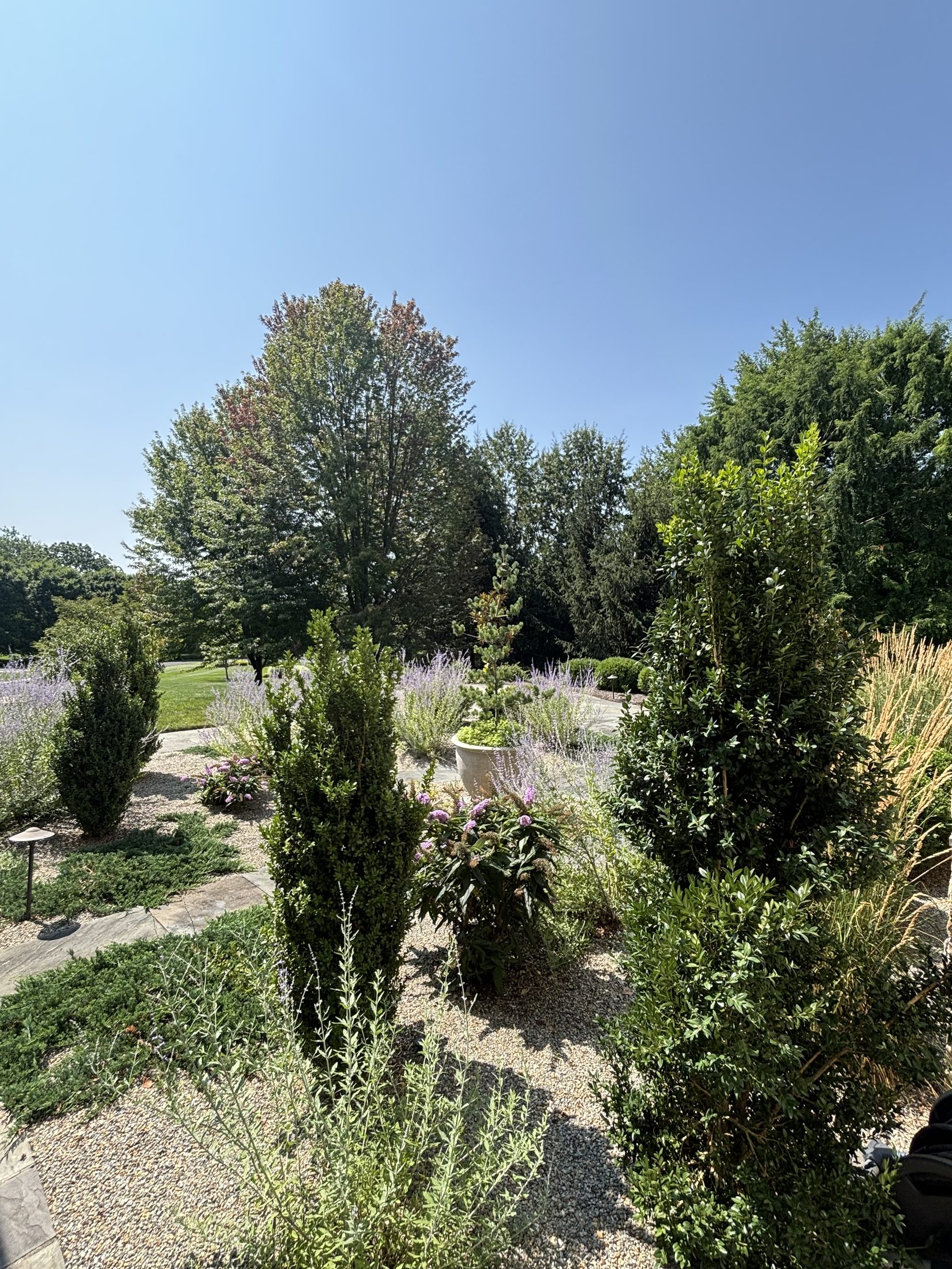 Geometric garden paths bordered by grasses and upright evergreens