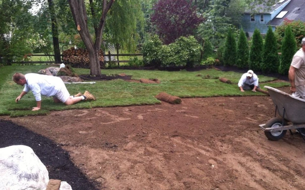 turf service